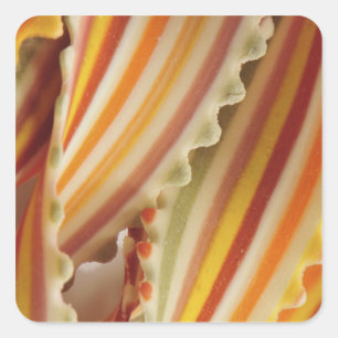 USA. Close-up of dried rainbow pasta noodles. Square Sticker