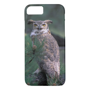 USA, CO, Colorado Springs. Great Horned Owl iPhone 8/7 Case