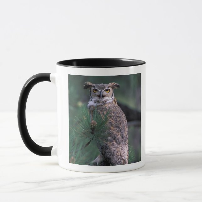 USA, CO, Colorado Springs. Great Horned Owl Mug (Left)