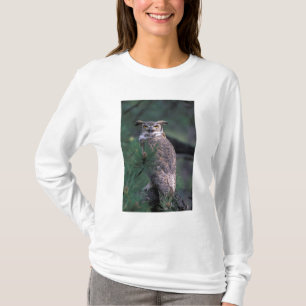 USA, CO, Colorado Springs. Great Horned Owl T-Shirt