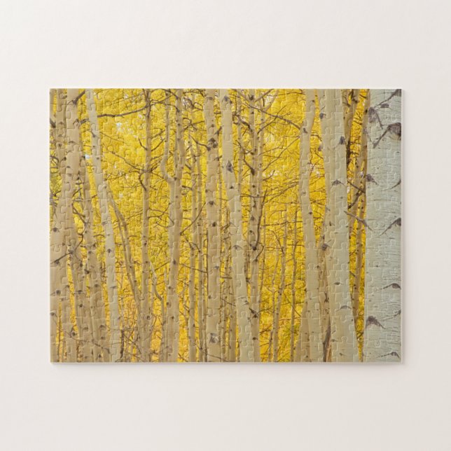 USA, Colorado. Aspens In Gunnison National Jigsaw Puzzle (Horizontal)