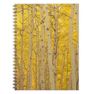 USA, Colorado. Aspens In Gunnison National Notebook