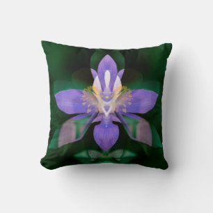 USA, Colorado, Boulder County Cushion