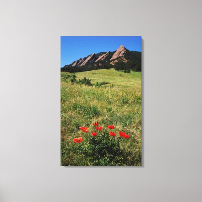 USA, Colorado, Boulder. Flatirons and poppies Canvas Print (Front)