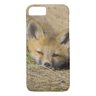 USA, Colorado, Breckenridge. Alert red fox iPhone 8/7 Case