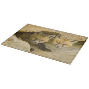 USA, Colorado, Breckenridge. Curious red fox Cutting Board