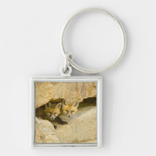 USA, Colorado, Breckenridge. Curious red fox Key Ring
