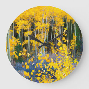 USA, Colorado. Bright Yellow Aspens In Rockies 2 Large Clock