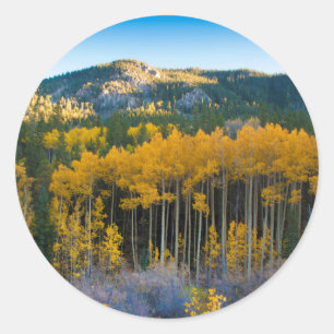 USA, Colorado. Bright Yellow Aspens in Rockies Classic Round Sticker