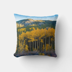 USA, Colorado. Bright Yellow Aspens in Rockies Cushion