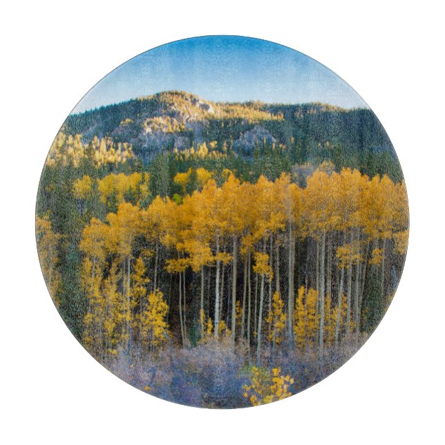 USA, Colorado. Bright Yellow Aspens in Rockies Cutting Board (Front)