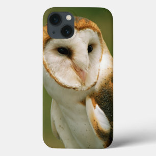 USA, Colorado, Broomfield. Barn owl iPhone 13 Case