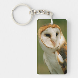 USA, Colorado, Broomfield. Barn owl Key Ring