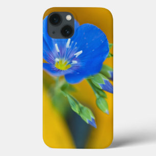 USA, Colorado. Close-up of cranesbill geranium iPhone 13 Case