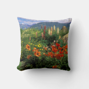 USA, Colorado, Crested Butte. Poppies and lupine Cushion