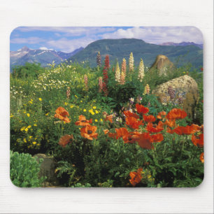 USA, Colorado, Crested Butte. Poppies and lupine Mouse Mat