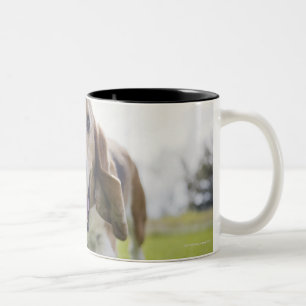 USA, Colorado, curious dog walking towards Two-Tone Coffee Mug