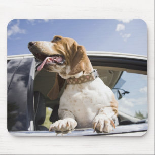 USA, Colorado, dog looking through car window 2 Mouse Mat