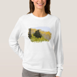 USA, Colorado, Gunnison National Forest, along 2 T-Shirt