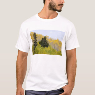 USA, Colorado, Gunnison National Forest, along 2 T-Shirt