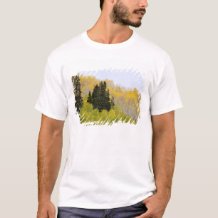 USA, Colorado, Gunnison National Forest, along 2 T-Shirt