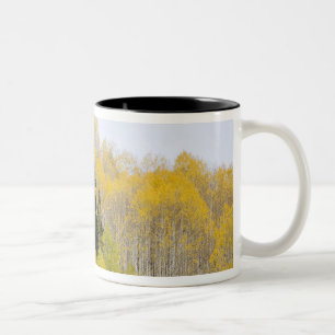 USA, Colorado, Gunnison National Forest, along 2 Two-Tone Coffee Mug