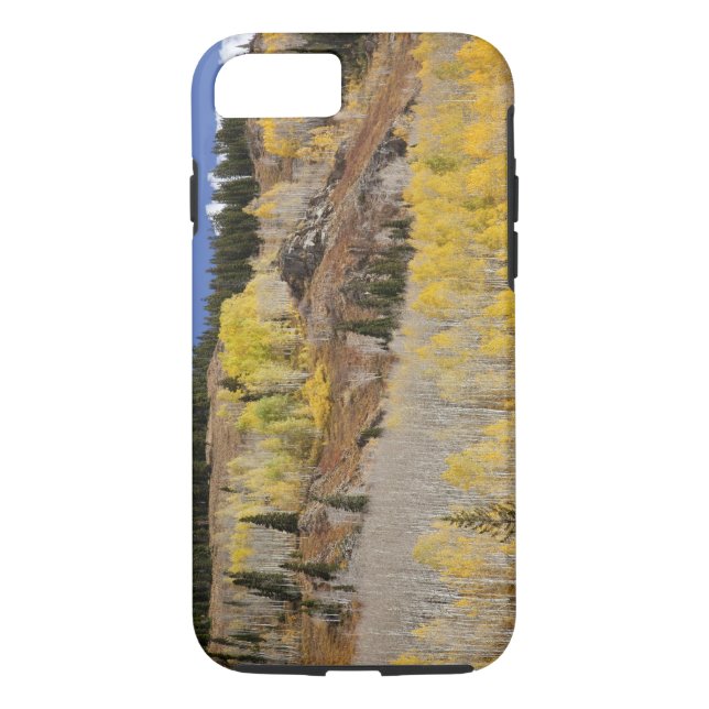 USA, Colorado, Gunnison National Forest, along Case-Mate iPhone Case (Back)