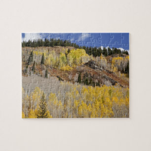 USA, Colorado, Gunnison National Forest, along Jigsaw Puzzle