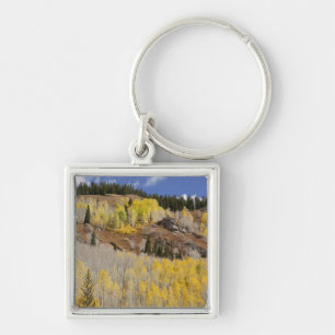 USA, Colorado, Gunnison National Forest, along Key Ring