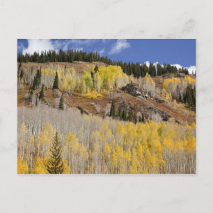 USA, Colorado, Gunnison National Forest, along Postcard