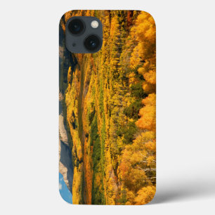 USA, Colorado, Gunnison National Forest iPhone 13 Case