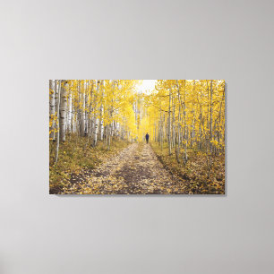 USA, Colorado, Gunnison National Forest near Canvas Print