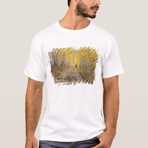 USA, Colorado, Gunnison National Forest near T-Shirt