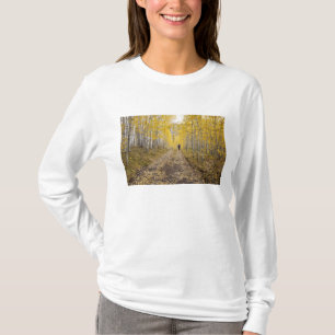 USA, Colorado, Gunnison National Forest near T-Shirt