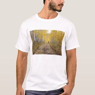 USA, Colorado, Gunnison National Forest near T-Shirt