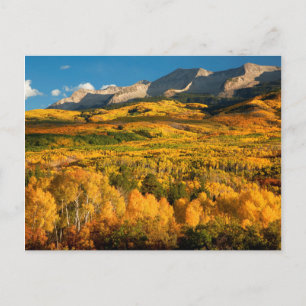 USA, Colorado, Gunnison National Forest Postcard