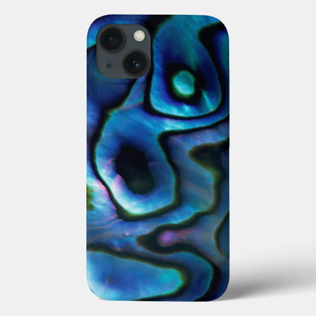 USA, Colorado, Lafayette. Abalone shell Case-Mate iPhone Case (Back)