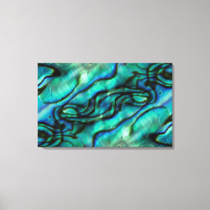 USA, Colorado, Lafayette. Abalone shell montage Canvas Print