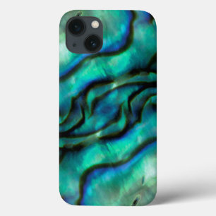 USA, Colorado, Lafayette. Abalone shell montage iPhone 13 Case
