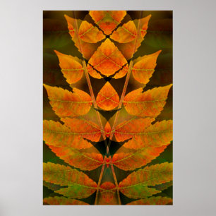 USA, Colorado, Lafayette. Autumn sumac montage Poster
