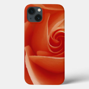 USA, Colorado, Lafayette. Peach rose close-up iPhone 13 Case