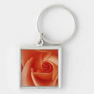 USA, Colorado, Lafayette. Peach rose close-up Key Ring