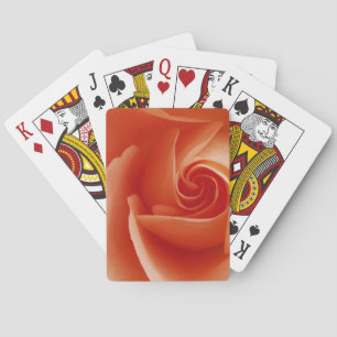 USA, Colorado, Lafayette. Peach rose close-up Playing Cards