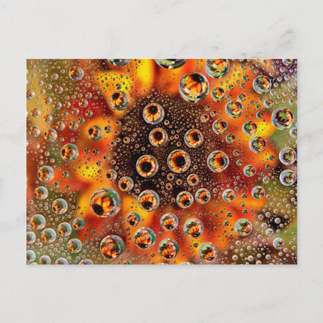USA, Colorado, Lafayette. Water bubbles on glass 1 Postcard (Front)