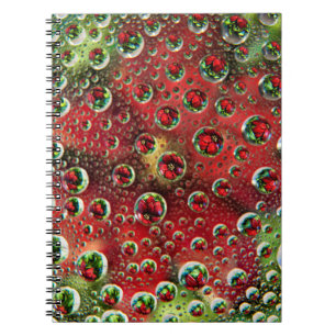USA, Colorado, Lafayette. Water bubbles on glass 3 Notebook