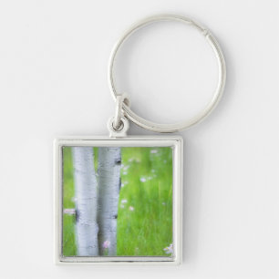 USA, Colorado, Lake City, Aspens and Key Ring