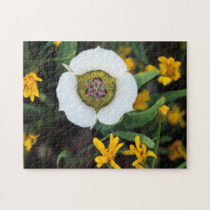 USA, Colorado. Mariposa tulip Jigsaw Puzzle