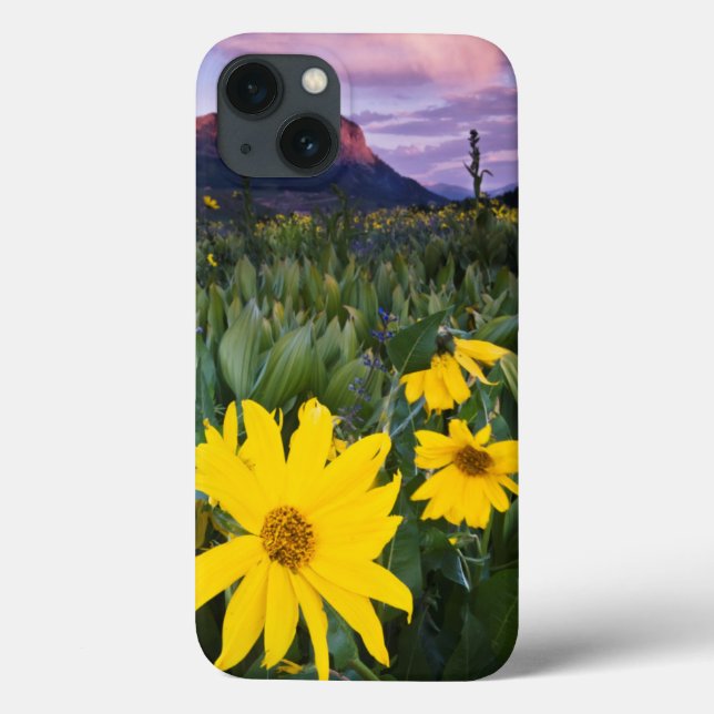 USA, Colorado, Mt. Crested Butte Case-Mate iPhone Case (Back)