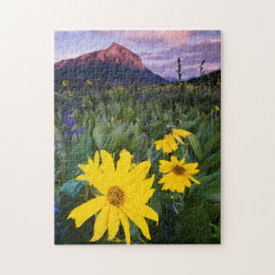 USA, Colorado, Mt. Crested Butte Jigsaw Puzzle