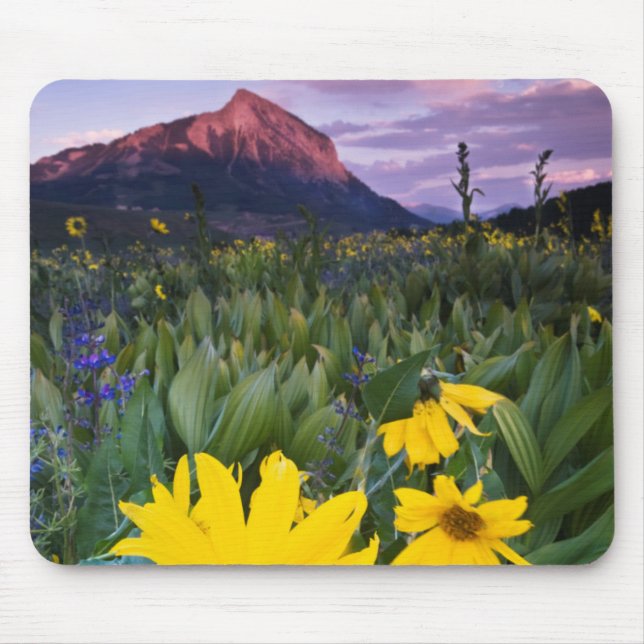 USA, Colorado, Mt. Crested Butte Mouse Mat (Front)
